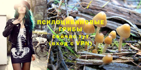 ALPHA-PVP Приозерск