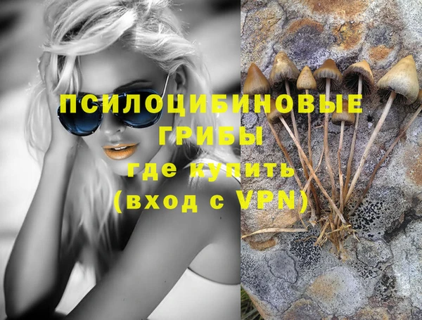 кокс Бородино