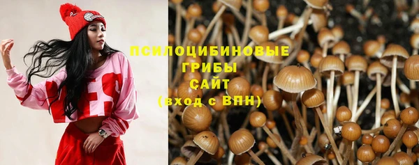 кокс Бородино