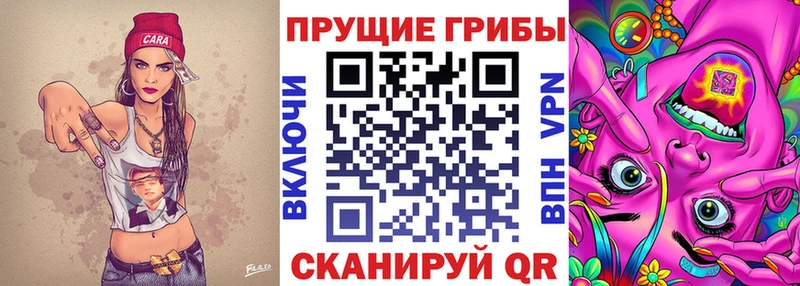 где продают   гидра tor  Галлюциногенные грибы MAGIC MUSHROOMS  Горно-Алтайск 
